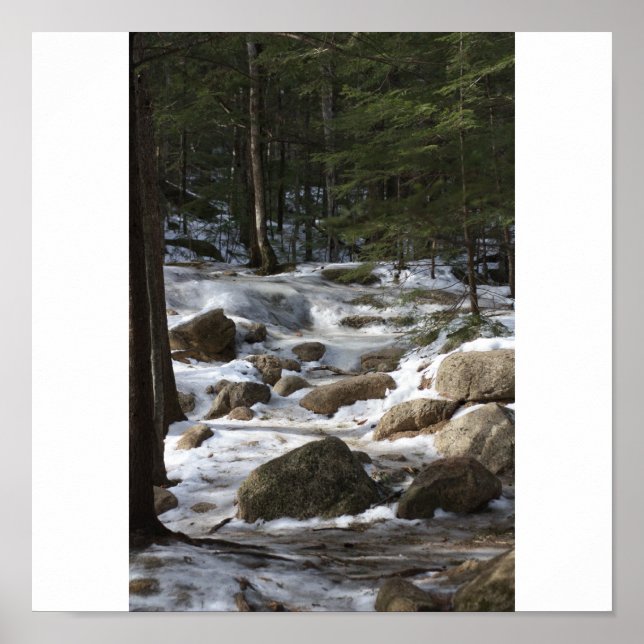 Diana's Baths Poster (Framsidan)