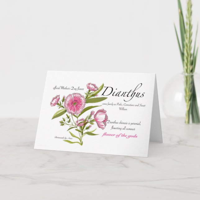Dianthus Blank Card Tack Kort (Framsida)