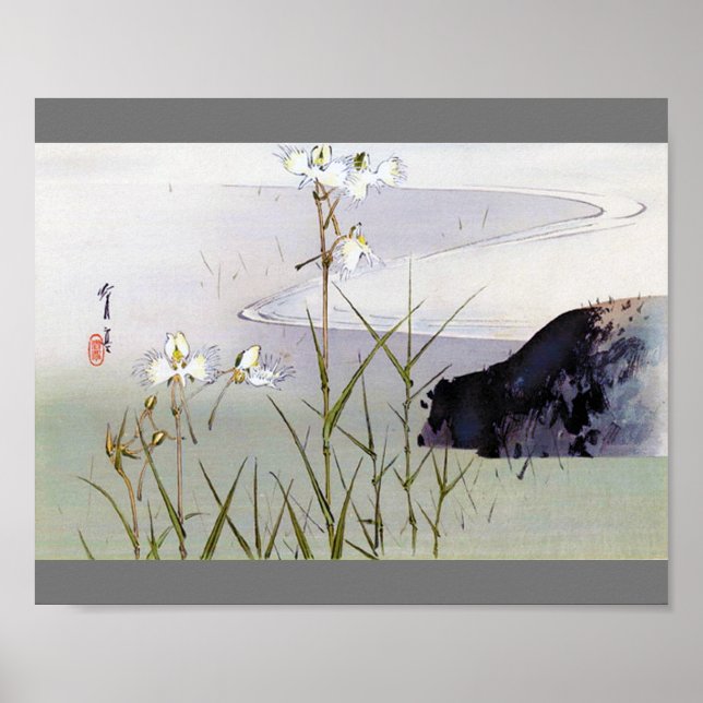Dianthus i Riverside, Watanabe Seitei Poster (Framsidan)