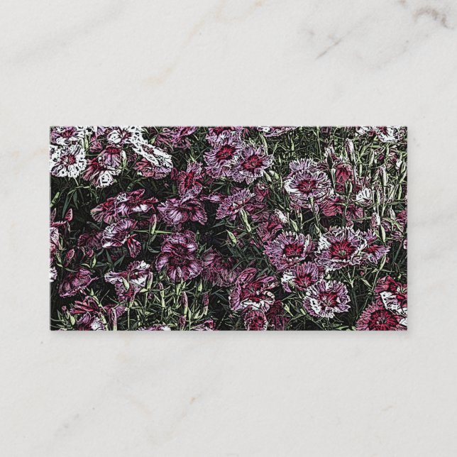 DIANTHUS VISITKORT (Framsida)