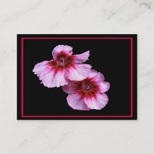 Dianthusen blomstrar ATC Visitkort