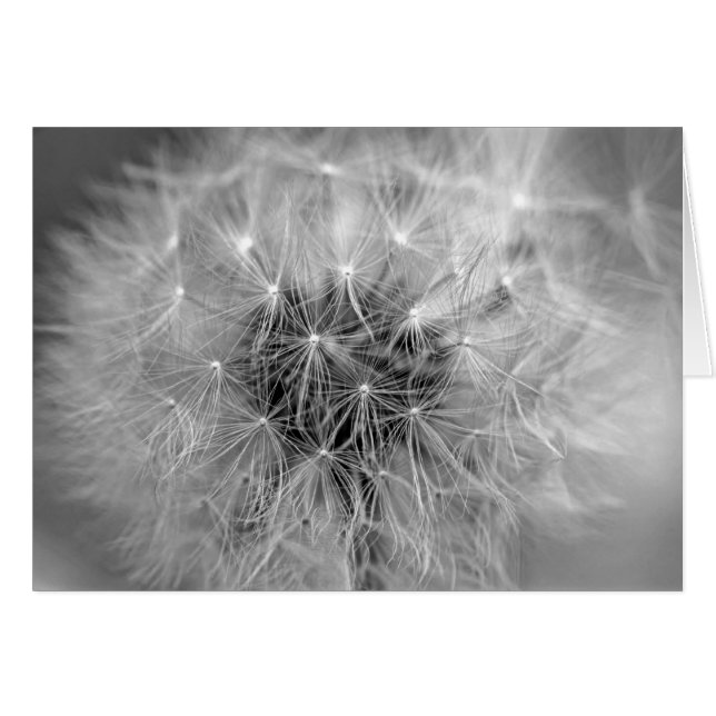 Diaphanous Hälsningskort (Framsidan Horizontal)