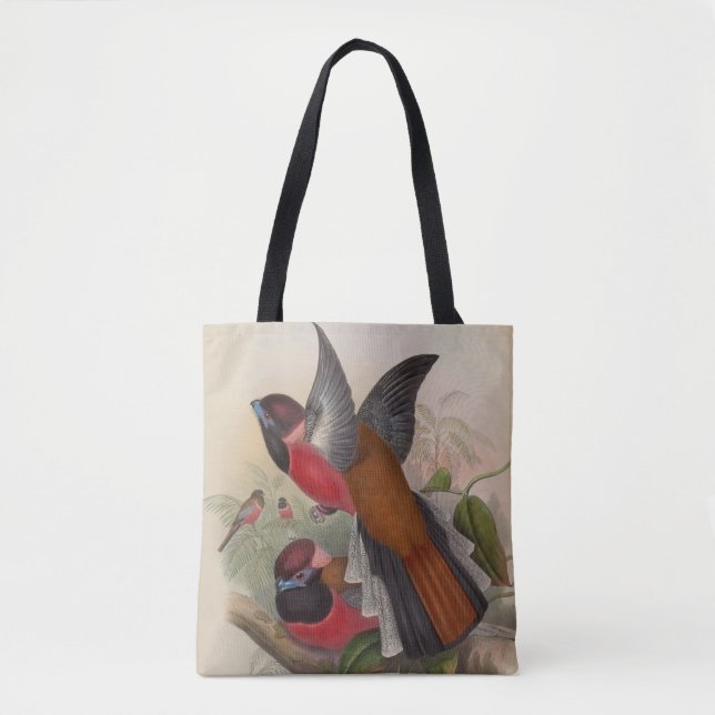 Diards Trogon av John Gould Tygkasse (Framsida)