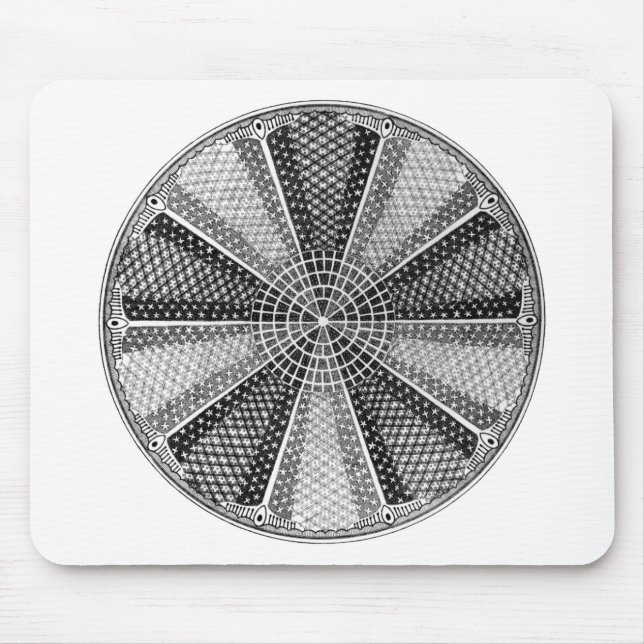 Diatom 13 Ernst Haeckel Fine Art Musmatta (Framsidan)