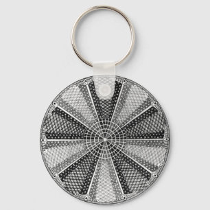 Diatom 13 Ernst Haeckel Fine Art Nyckelring