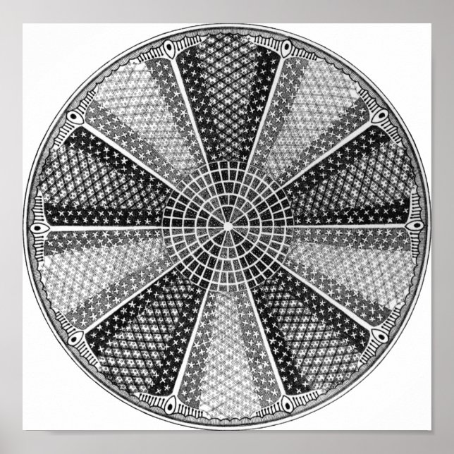 Diatom 13 Ernst Haeckel Fine Art Poster (Framsidan)