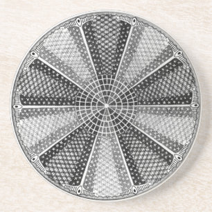 Diatom 13 Ernst Haeckel Fine Art Underlägg Sandsten