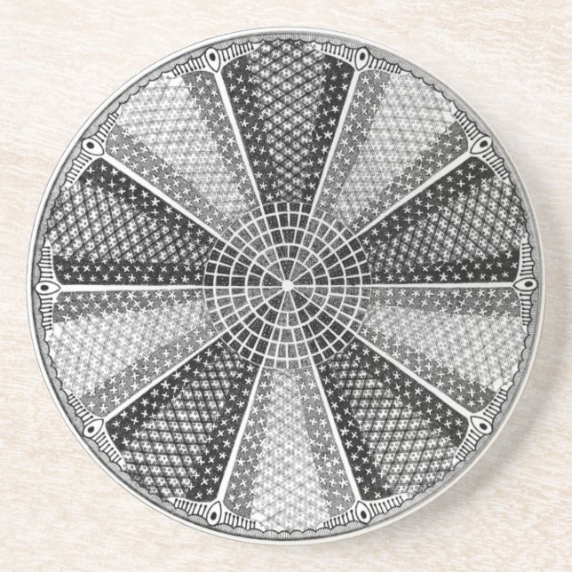 Diatom 13 Ernst Haeckel Fine Art Underlägg Sandsten (Framsidan)