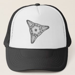 Diatom Keps