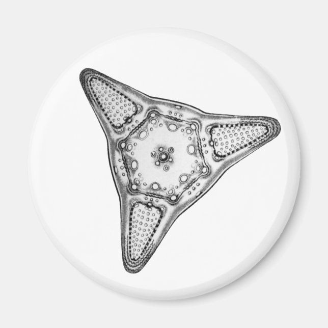 Diatom Magnet (Framsidan)