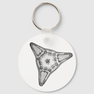 Diatom Nyckelring
