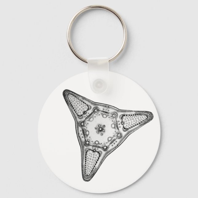 Diatom Nyckelring (Framsida)