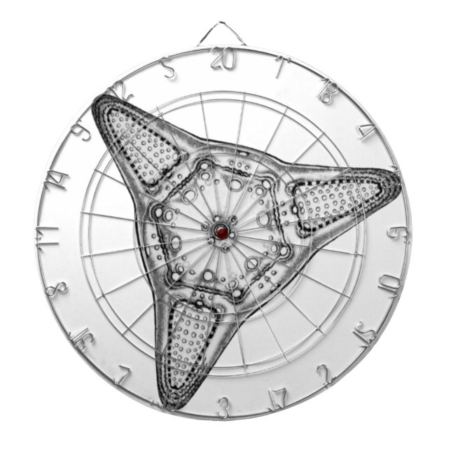 Diatom Piltavla (Framsidan)
