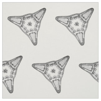 Diatom Tyg