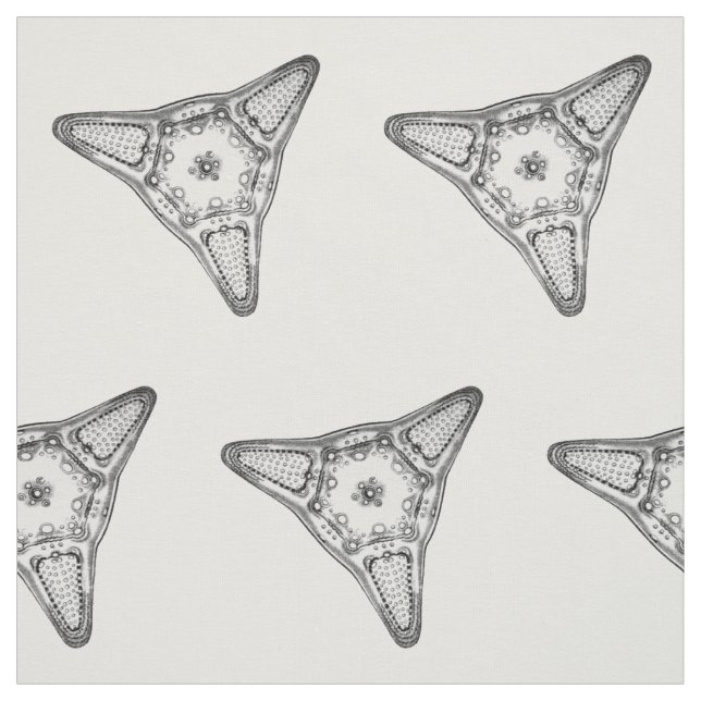 Diatom Tyg (Provkarta)