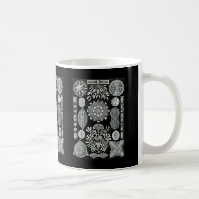 Diatoms Kaffemugg (Höger)