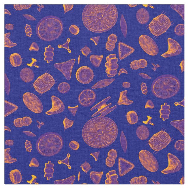 Diatomsneon Tyg (Närbild)