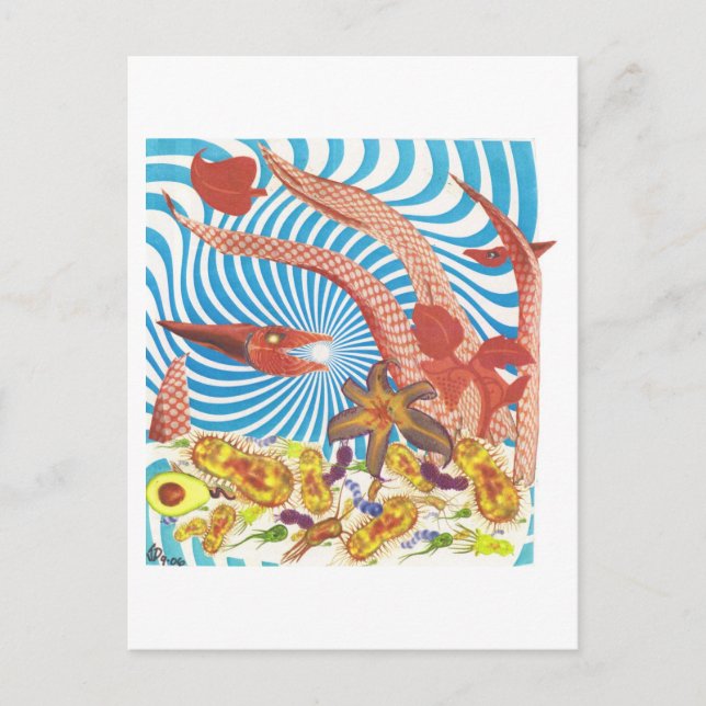 Dibble_Art29_Orange_Octopus Vykort (Framsida)