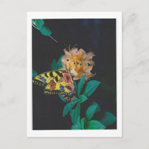 Dibble_Artworks_124_Butterfly Vykort