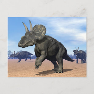 Diceratops/nedoceratops dinosaurs i öknen vykort