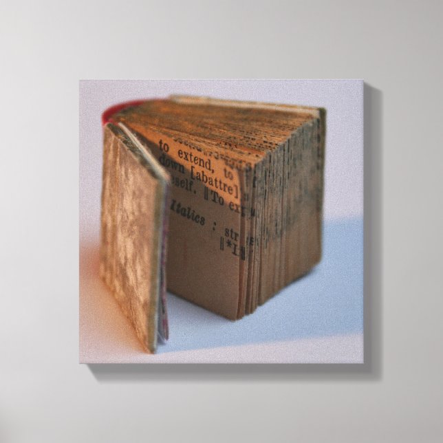 DicofrAngle, engelsk Fransk Miniature Bok poster Canvastryck (Framsida)