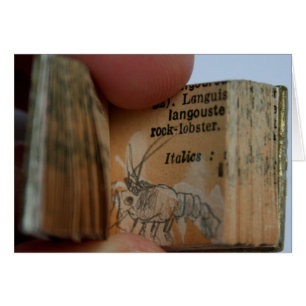 DicofrAngle Miniature Bok Crayfish Teckning Card Hälsningskort