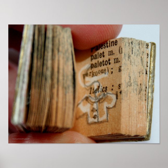 DicofrAngle Miniature Bok Jacka Teckning Poster (Framsidan)