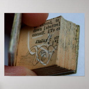 DicofrAngle Miniature Bok klippte ned Teckning Pos Poster