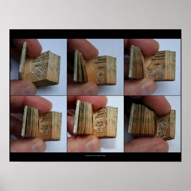 DicofrAngle Miniature Bok med Teckning Poster (Framsidan)