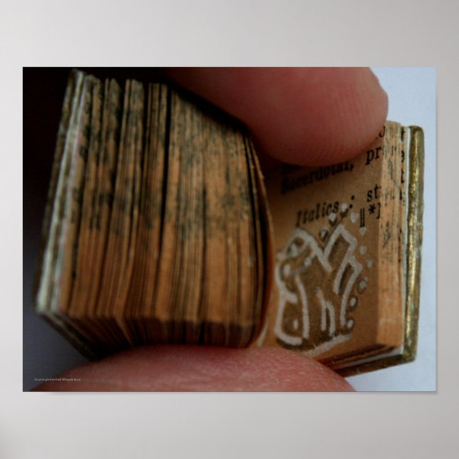 DicofrAngle Miniature Bok namnlös Teckning Poster (Framsidan)