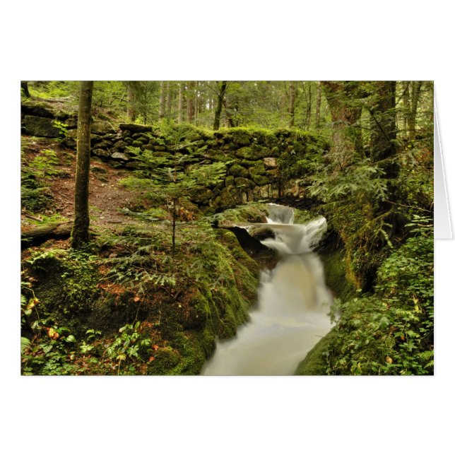 die alte Brücke Grusskarte Hälsningskort (Framsidan Horizontal)