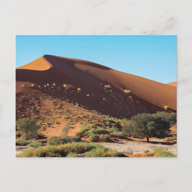 Die Dünen des Sossusvlei in Namibia Postkarte Vykort (Framsida)