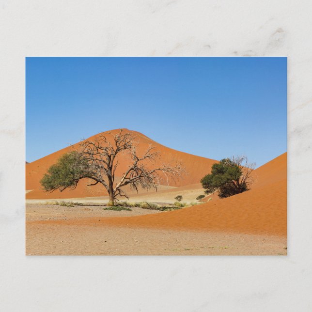 Die Dünen des Sossusvlei in Namibia Vykort (Framsida)