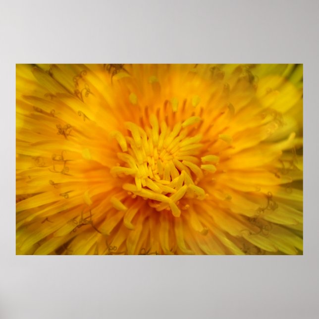 Die Farbe Gelb Poster (Framsidan)