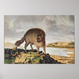 "Die gestreifte Hyäne" Poster