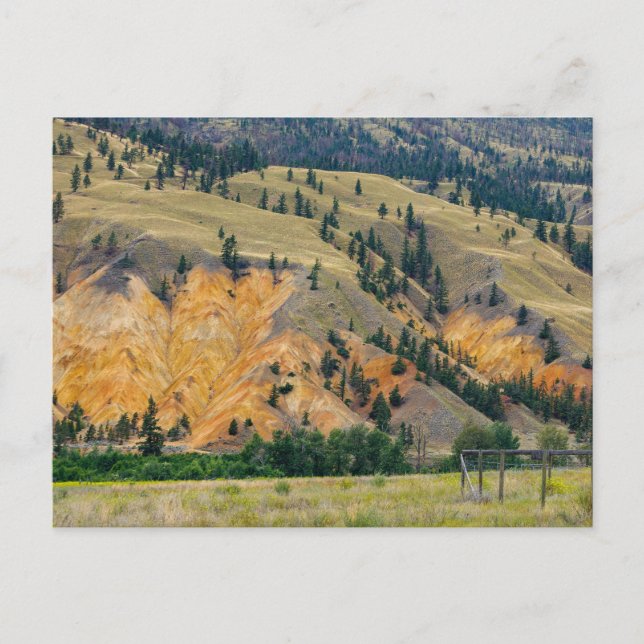 Die Painted Hills bei Clinton in British Columbia Vykort (Framsida)