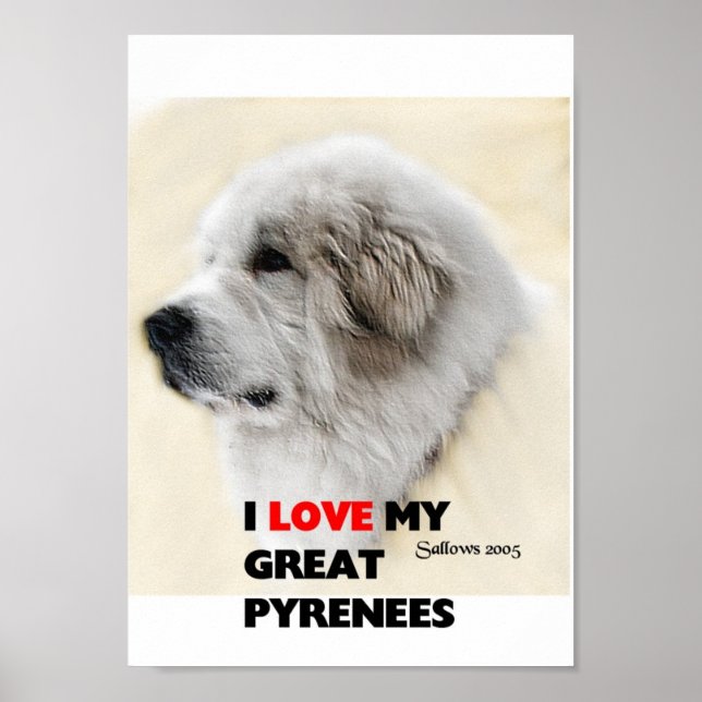 diego poster (Framsidan)