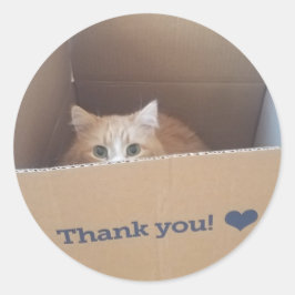 Diego the Cat Tack Sticker Runt Klistermärke
