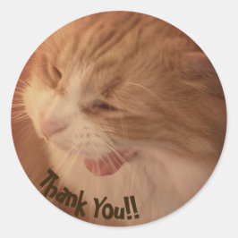 Diego the Cat Tack Stickers Runt Klistermärke