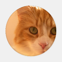 Diego the Cat Underlägg Set