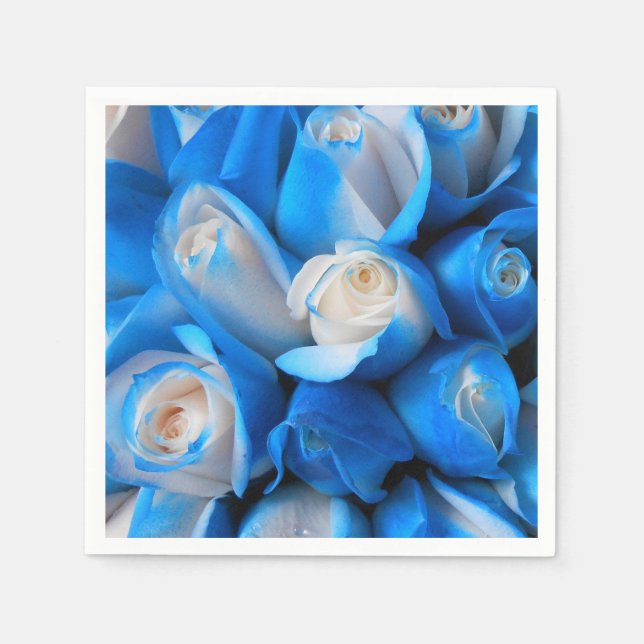 Diemudis Pappersservett (Framsidan)