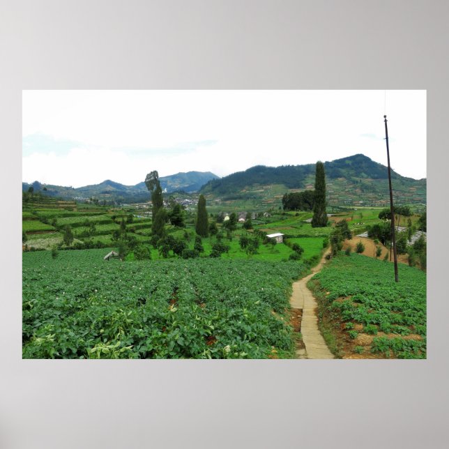 Dieng Farmland Poster (Framsidan)