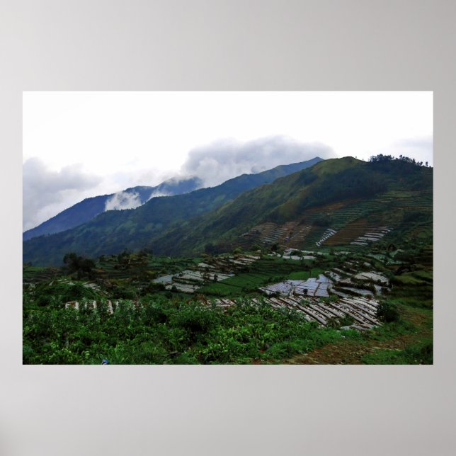 Dieng Farms Poster (Framsidan)