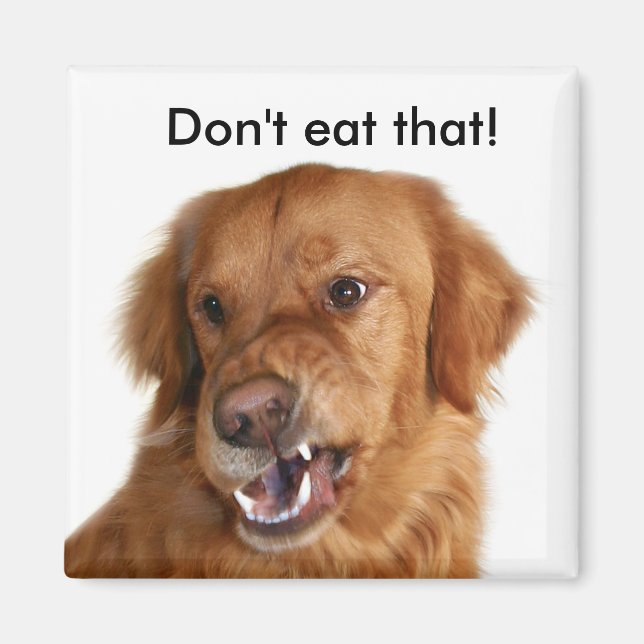 Dieters magnet (Framsidan)