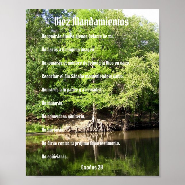 Diez Mandamientos - Ciprés en el Pantano Poster (Framsidan)