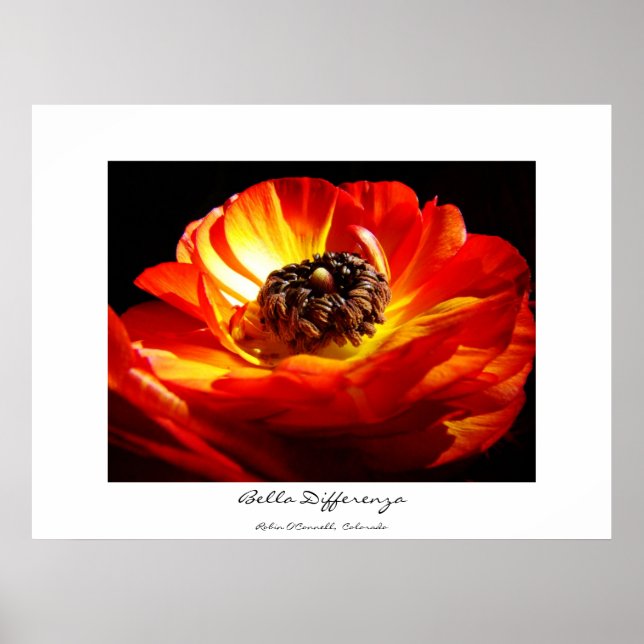 Differenza (med namn) poster (Framsidan)