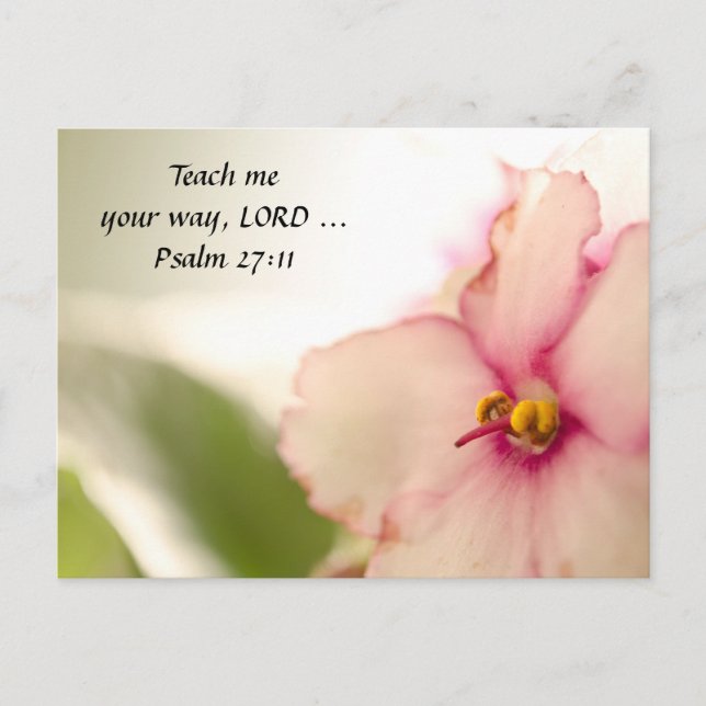 Diffusera våld vykort (Framsida)