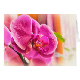 Diffuserad orchid hälsningskort
