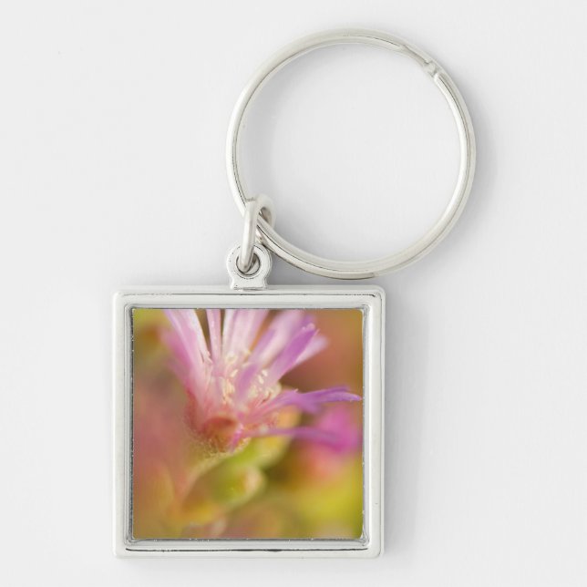 Diffust Bild Av En Färgrik Sukkulent Blomma Fyrkantig Silverfärgad Nyckelring (Framsidan)