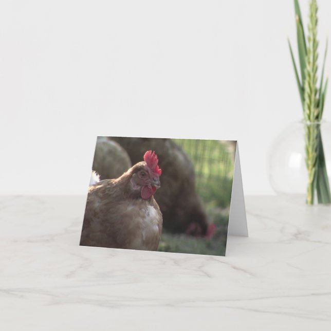 Dig Lookin på mig? Notera kort (Framsida)